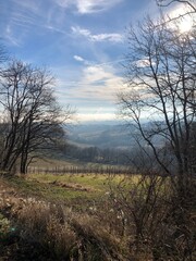 Landscape view of the vineyards from the mountain