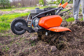 Cultivator close-up during ploughing of the field before planting seedlings. Cultivator cutters...