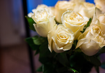 close up cream ivory off white bouquet roses