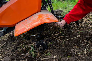 Cleaning of cultivator milling cutters Elymus repens, couch grass. A dangerous weed that interferes with the cultivation of the soil with a cultivator - obrazy, fototapety, plakaty