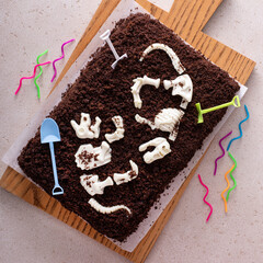 Chocolate cake with dinosaur bones for a child birthday © fahrwasser