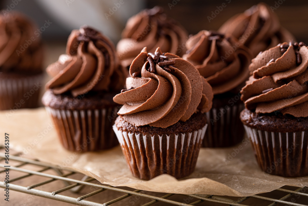 Wall mural dark chocolate cupcakes with chocolate ganache frosting