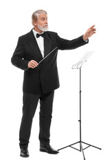 Professional conductor with baton on white background
