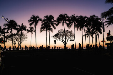 Colorful Sunset seen from the Streets of Waikiki Honolulu Hawaii at the Kalakaua near Kapahulu Intersection