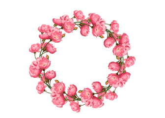Fototapeta na wymiar Pink bossoms spring wreath isolated cutout
