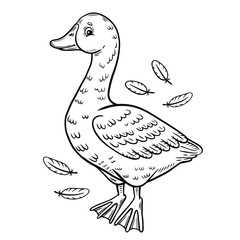 Cute goose or duck farm water bird with feather quills line icon. Swan chick character. Children coloring book page. Kid education game. Domestic agriculture animal. Soft fluff. Outline vector drawing