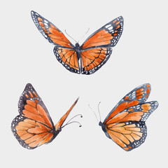 Beautiful vector clip art image with cute watercolor butterflies. Stock illustration.