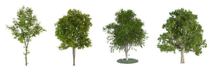 Obraz premium Set of green tree in 3d rendering