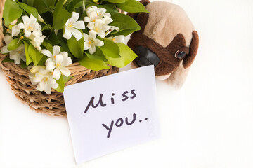 miss you message card handwriting with dog toy and  jasmine flowers in basket arrangement flat lay style on background white 
