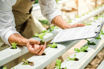 Happiness Asian Man gardener  Working with freshness vegetable hydroponic greenhouse  in hydroponic farm