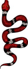 Obraz premium red snake vector.Lampropeltis triangulum vector.Sticker and hand drawn snake for tattoo.Red snake Reptile on white background.