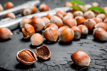 Hazelnuts in a shell with a Nutcracker.