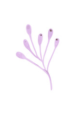Cute doodle pastel floral element. Vector illustration