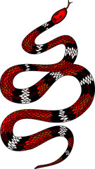 red snake vector.Lampropeltis triangulum vector.Sticker and hand drawn snake for tattoo.Red snake Reptile on white background.