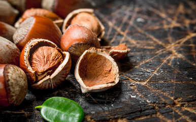 Hazelnut with green leaves .