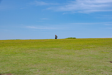 child on the meadow
