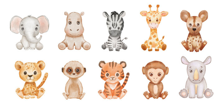 Cute baby watercolor african animals isolated on white background . Safari Animal elephant, cheetah and monkey sitting. Hand drawn illustration for kids.