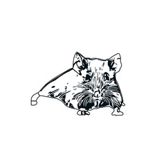 black and white sketch of a mouse with a transparent background