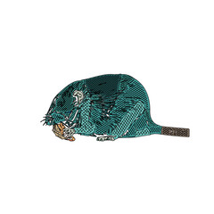 colored sketch of a mouse with a transparent background