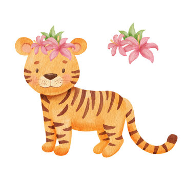 Cute tiger with tropical flowers in cartoon style. Drawing african baby wild cat isolated on white background. Jungle animal character