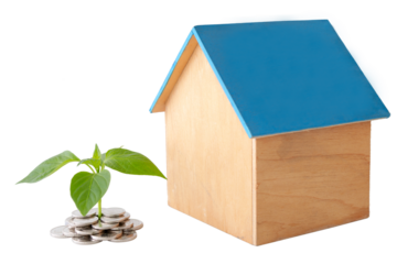 a plant has grown from a pile of coins next to a plywood house, close-up on an isolated background