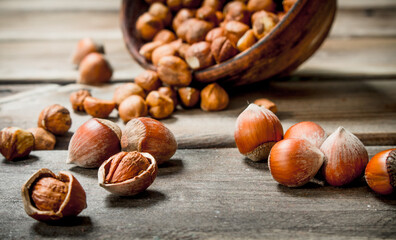 Hazelnuts in the shell.
