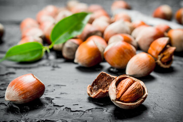 Hazelnuts in a shell with a Nutcracker.