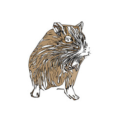 Obraz premium colored sketch of a mouse with a transparent background