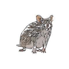 colored sketch of a mouse with a transparent background