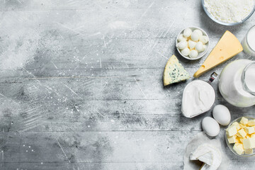 Different dairy products .