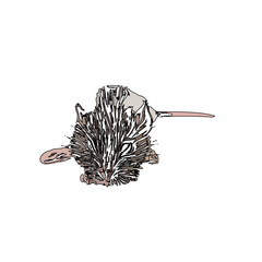 colored sketch of a mouse with a transparent background