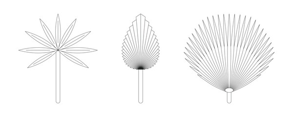 Tropical palm leaves boho style set © arbaz