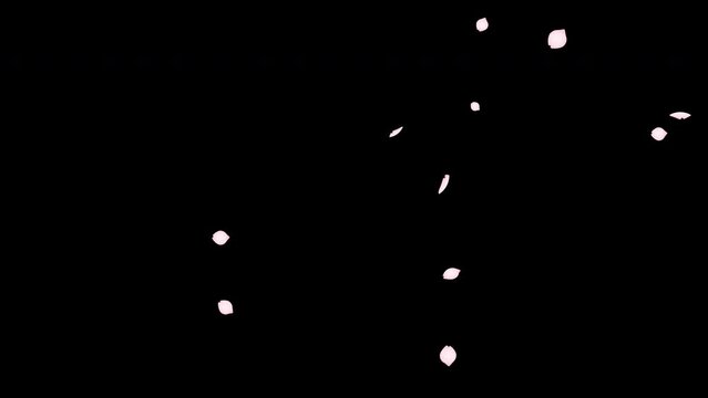 舞い落ちる立体的な桜の花びらの4kループアニメーション動画効果素材　背景透過のアルファチャンネル付き