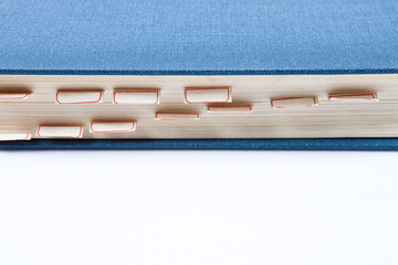 Book spines with page markers on bookmarks with path on white background. You can change the background as you like