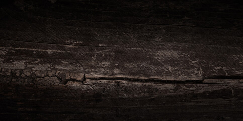 Wood Dark background texture. Blank for design
