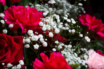 A closeup view of a baby's breath flowers among other carnations and roses.