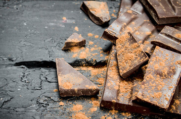 Chocolate slices sprinkled with cocoa powder.
