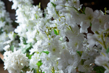 A view of fake plastic white flowers as background decor.