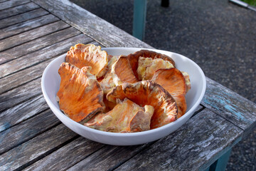A closeup view of a bowl of chicken of the woods mushrooms.