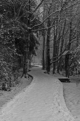 Winterlandschaft Rhön-Das Schwarze Moor 2