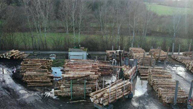 The Logging Industry in Motion: An Aerial View of a Truck Unloading and Sorting Timber at a German Sawmill