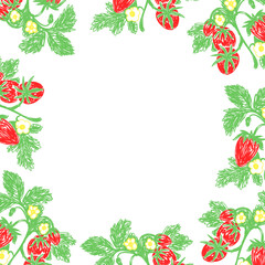 Strawberry fruits frame. Vector hand drawn design print. Natural pencil drawing