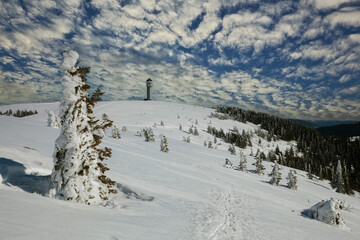 Feldberg in the Black Forest in winter