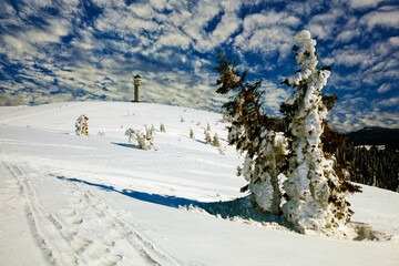 Feldberg in the Black Forest in winter