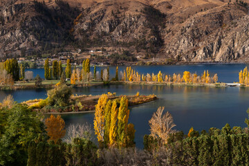 Yellow trees by the river. Daroga State Park. Columbia river near Wenatchee. Washington State. United States of America