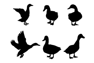 Set of silhouettes of ducks vector design