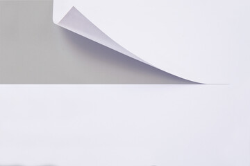 White paper, partly rolled up, cut with a knife and curled. Partially rolled up white paper