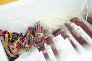 Blood bag