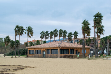 Port Cogolin beach shore rainy day with wind palm trees