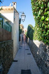 Saint Trope narrow street with plants